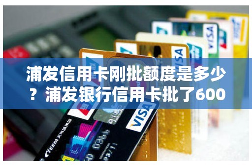 浦发信用卡刚批额度是多少？浦发银行信用卡批了6000