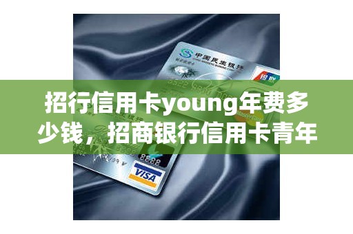 招行信用卡young年费多少钱，招商银行信用卡青年卡年费
