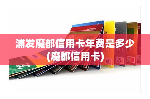浦发魔都信用卡年费是多少(魔都信用卡)