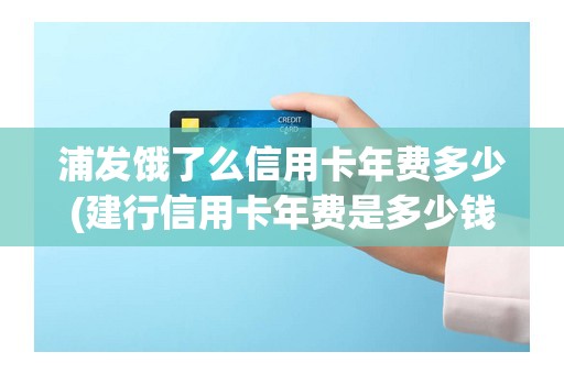 浦发饿了么信用卡年费多少(建行信用卡年费是多少钱)