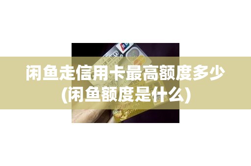 闲鱼走信用卡最高额度多少(闲鱼额度是什么)