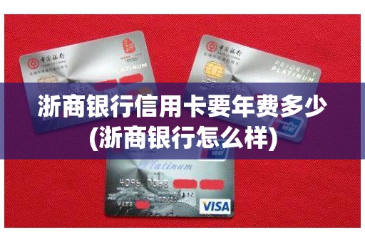 浙商银行信用卡要年费多少(浙商银行怎么样)