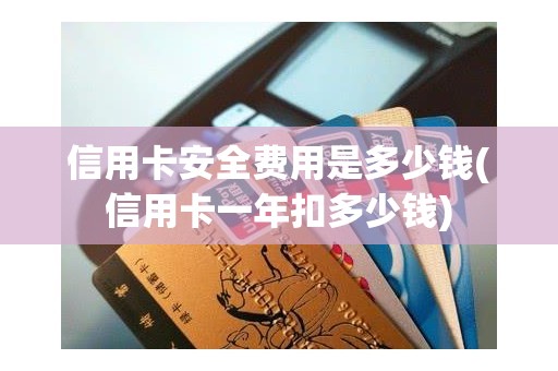 信用卡安全费用是多少钱(信用卡一年扣多少钱)