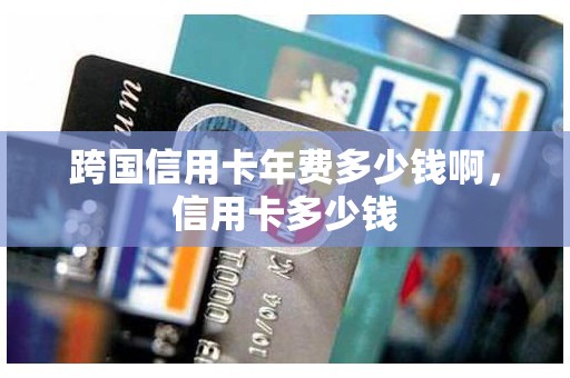 跨国信用卡年费多少钱啊，信用卡多少钱