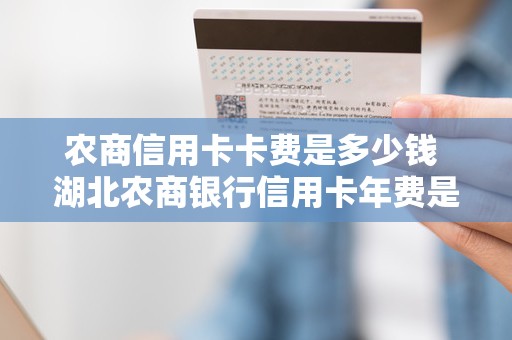 农商信用卡卡费是多少钱 湖北农商银行信用卡年费是多少钱