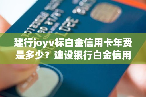 建行joyv标白金信用卡年费是多少？建设银行白金信用卡年费