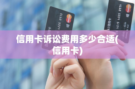 信用卡诉讼费用多少合适(信用卡)
