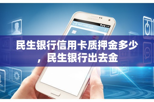 民生银行信用卡质押金多少，民生银行出去金