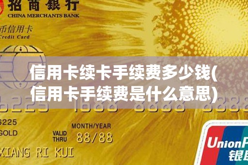 信用卡续卡手续费多少钱(信用卡手续费是什么意思)