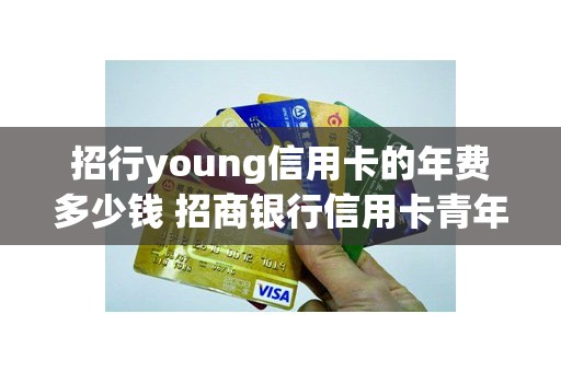 招行young信用卡的年费多少钱 招商银行信用卡青年卡年费