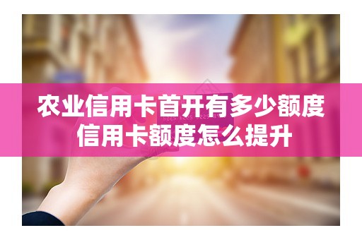 农业信用卡首开有多少额度 信用卡额度怎么提升