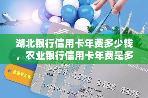 湖北银行信用卡年费多少钱，农业银行信用卡年费是多少钱一年