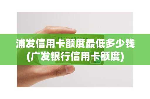 浦发信用卡额度最低多少钱(广发银行信用卡额度)