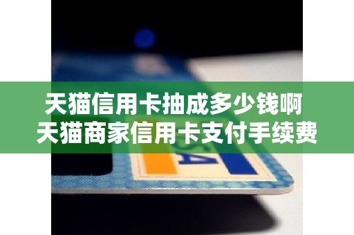 天猫信用卡抽成多少钱啊 天猫商家信用卡支付手续费