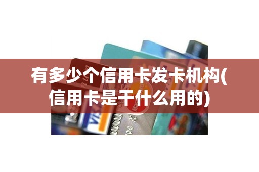 有多少个信用卡发卡机构(信用卡是干什么用的)