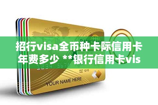 招行visa全币种卡际信用卡年费多少 **银行信用卡visa卡国内可以用吗