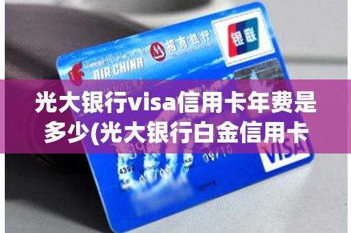 光大银行visa信用卡年费是多少(光大银行白金信用卡)