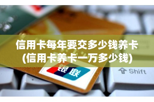 信用卡每年要交多少钱养卡(信用卡养卡一万多少钱)