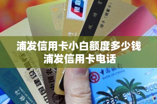 浦发信用卡小白额度多少钱 浦发信用卡电话