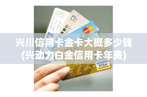 兴川信用卡金卡大概多少钱(兴动力白金信用卡年费)