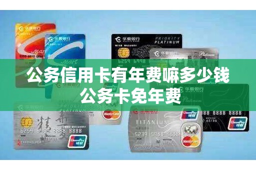 公务信用卡有年费嘛多少钱 公务卡免年费