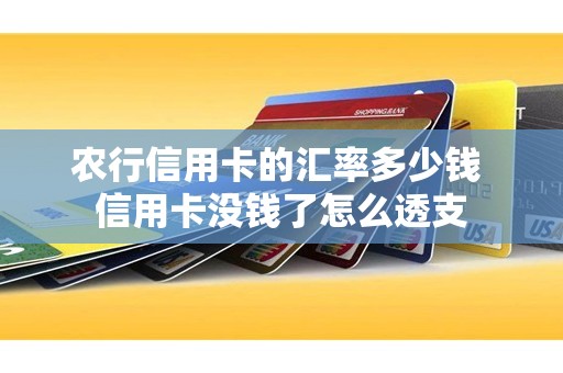 农行信用卡的汇率多少钱 信用卡没钱了怎么透支
