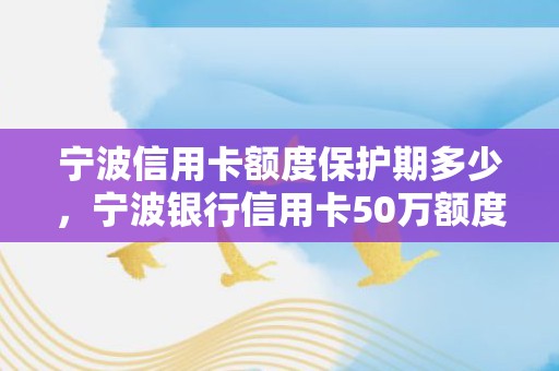 宁波信用卡额度保护期多少，宁波银行信用卡50万额度