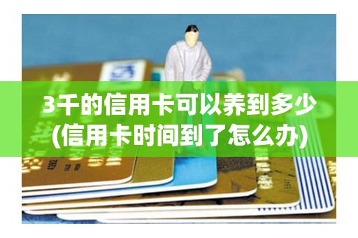 3千的信用卡可以养到多少(信用卡时间到了怎么办)