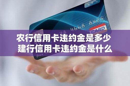 农行信用卡违约金是多少 建行信用卡违约金是什么