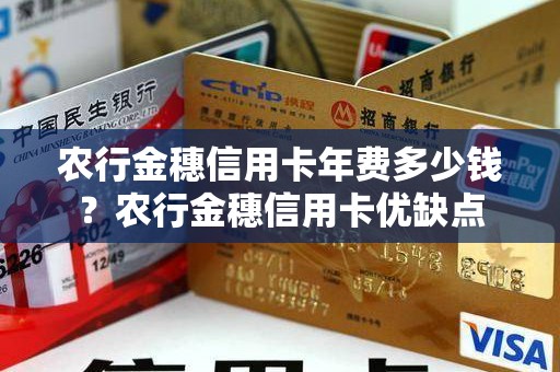 农行金穗信用卡年费多少钱？农行金穗信用卡优缺点