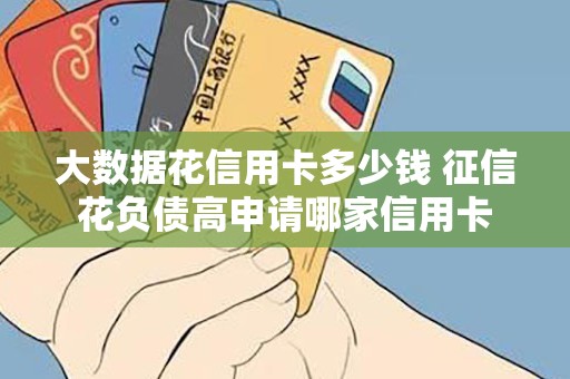 大数据花信用卡多少钱 征信花负债高申请哪家信用卡