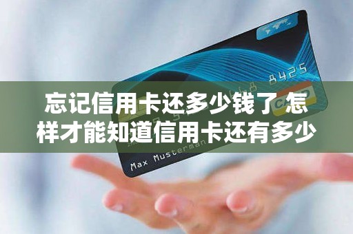 忘记信用卡还多少钱了 怎样才能知道信用卡还有多少钱没还