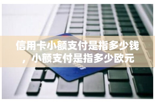 信用卡小额支付是指多少钱，小额支付是指多少欧元