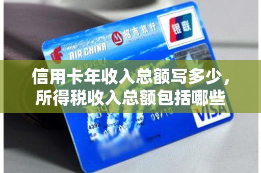 信用卡年收入总额写多少，所得税收入总额包括哪些