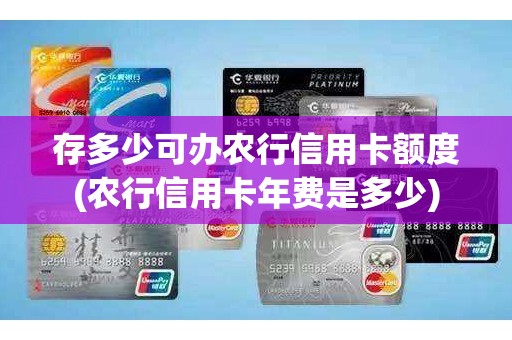 存多少可办农行信用卡额度(农行信用卡年费是多少)