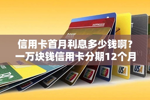 信用卡首月利息多少钱啊？一万块钱信用卡分期12个月
