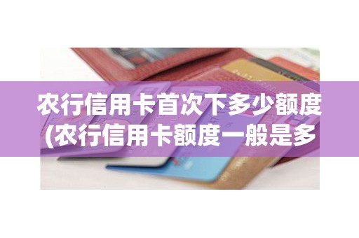 农行信用卡首次下多少额度(农行信用卡额度一般是多少)