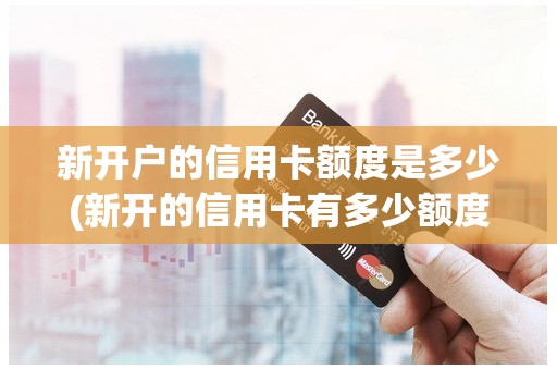 新开户的信用卡额度是多少(新开的信用卡有多少额度)