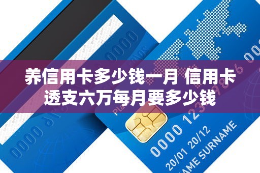 养信用卡多少钱一月 信用卡透支六万每月要多少钱