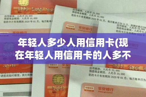 年轻人多少人用信用卡(现在年轻人用信用卡的人多不多)