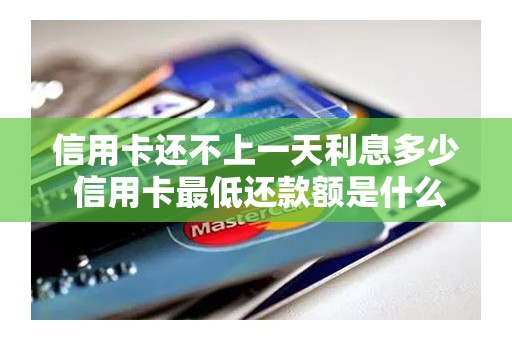 信用卡还不上一天利息多少 信用卡最低还款额是什么意思