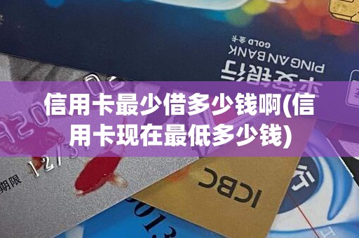 信用卡最少借多少钱啊(信用卡现在最低多少钱)