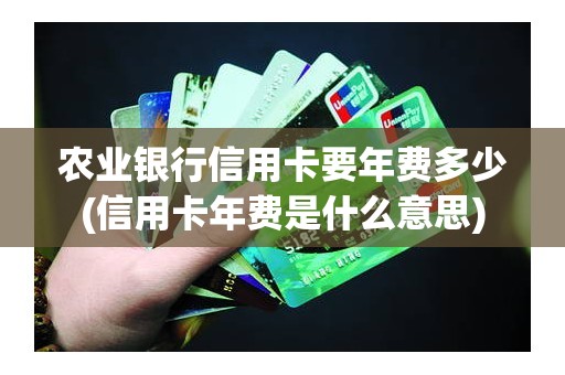 农业银行信用卡要年费多少(信用卡年费是什么意思)