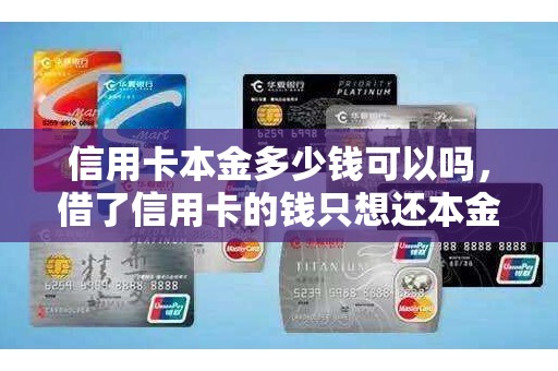 信用卡本金多少钱可以吗，借了信用卡的钱只想还本金可以吗