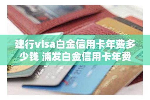 建行visa白金信用卡年费多少钱 浦发白金信用卡年费