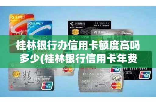 桂林银行办信用卡额度高吗多少(桂林银行信用卡年费)