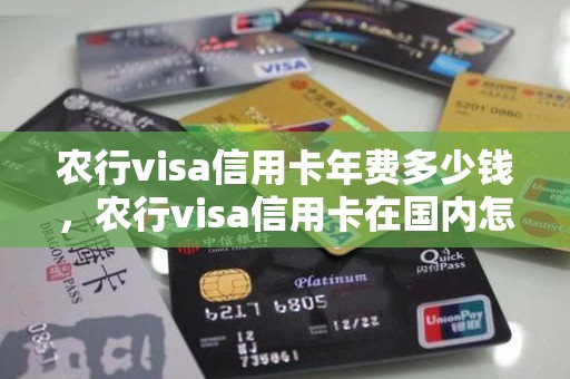 农行visa信用卡年费多少钱，农行visa信用卡在国内怎么用