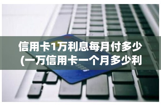 信用卡1万利息每月付多少(一万信用卡一个月多少利息)