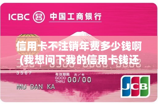 信用卡不注销年费多少钱啊(我想问下我的信用卡钱还完了)
