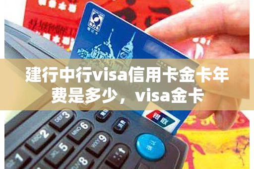 建行中行visa信用卡金卡年费是多少，visa金卡